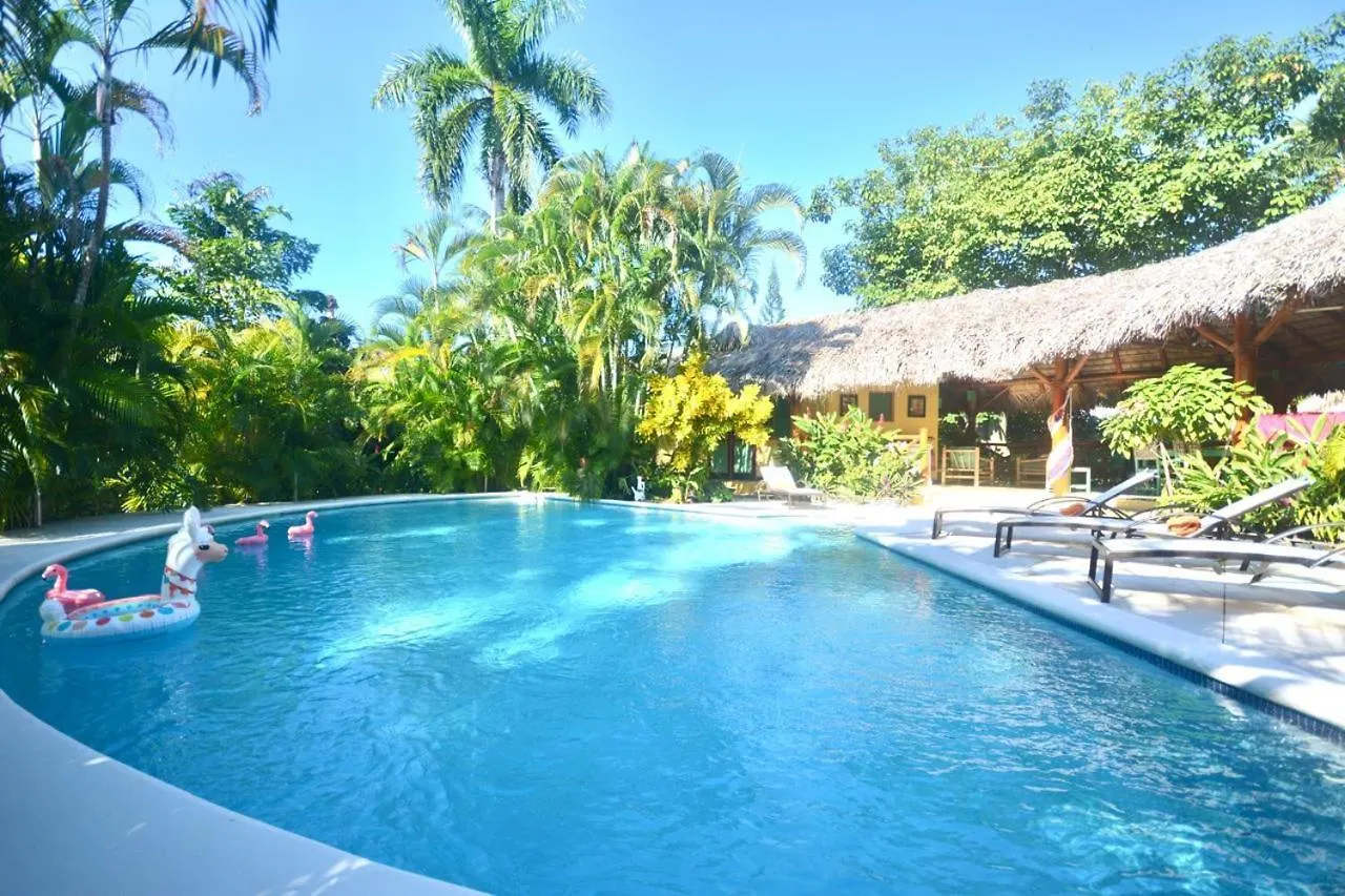 Tropical Escape For Two Appartement Las Terrenas Dominicaanse Republiek