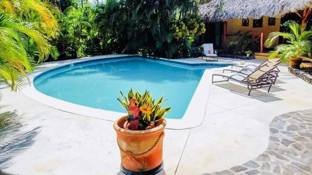 Tropical Escape For Two Appartement Las Terrenas